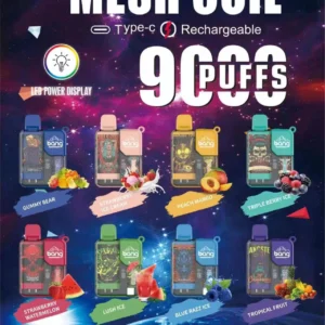 Bang Box 9000 Puffs 0% 2% 3% 5% Nicotine Rechargeable LED Pover Display Disposable Vape Wholesale