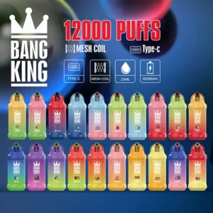 Bang King 12000 Puffs 0% 2% 3% 5% Nicotine Rechargeable Disposable Vape Wholesale