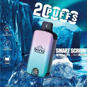 Bang Vape 20000 Puffs Dual Mesh 0% 2% 3% 5% Low Nicotine LED display Rechargeable Bulk Buy Disposable Vape Pen Wholesale