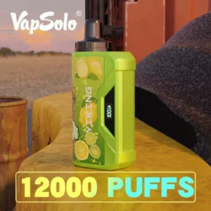 VapSolo Viking 12000 Puffs 2% 5% Low Nicotine Rechargeable Disposable Vapes Pen Bulk Buy Wholesale